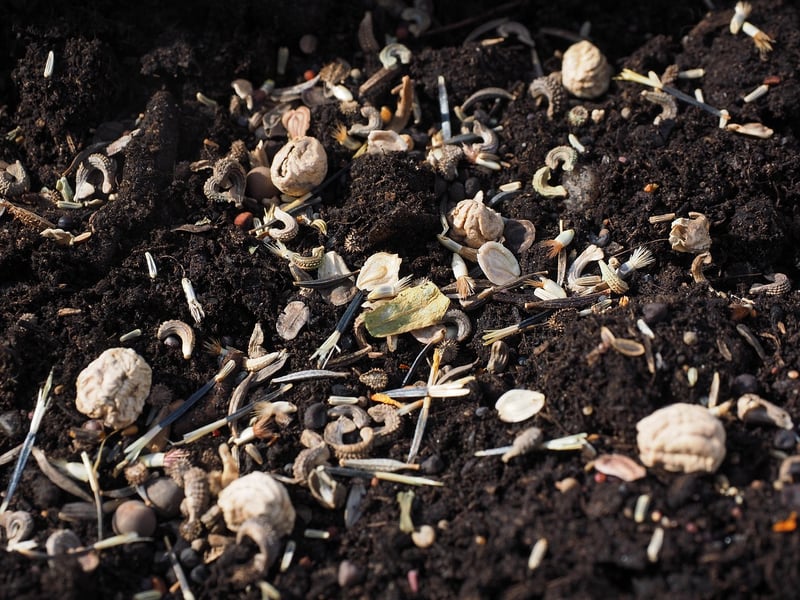 Soil Mixes