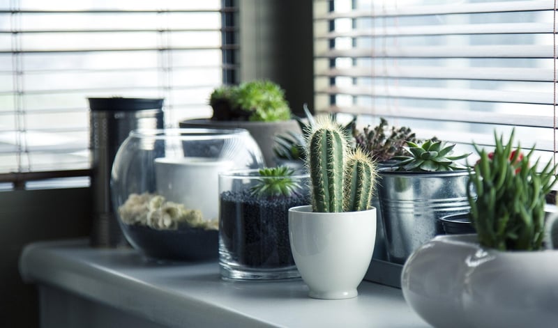Hanging Tiered Planters